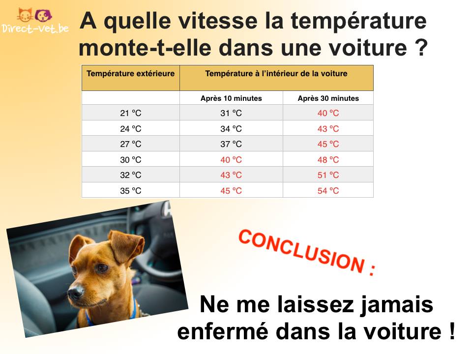 Couverture 4x8