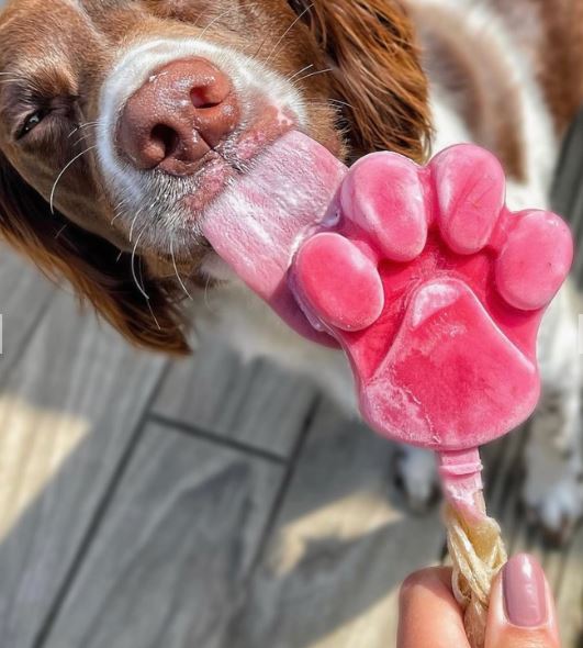 Moule Pawsicle