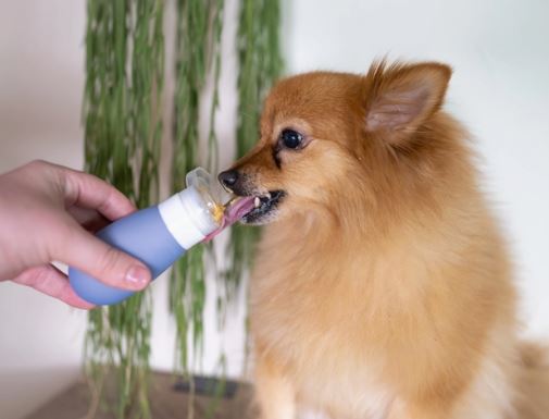 Poochbutter Pal Rose
