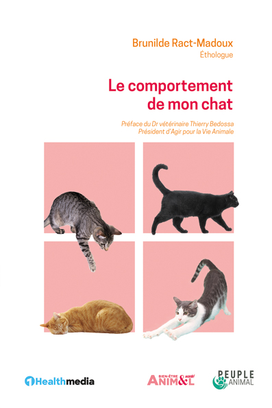 Le comportement de mon chat
